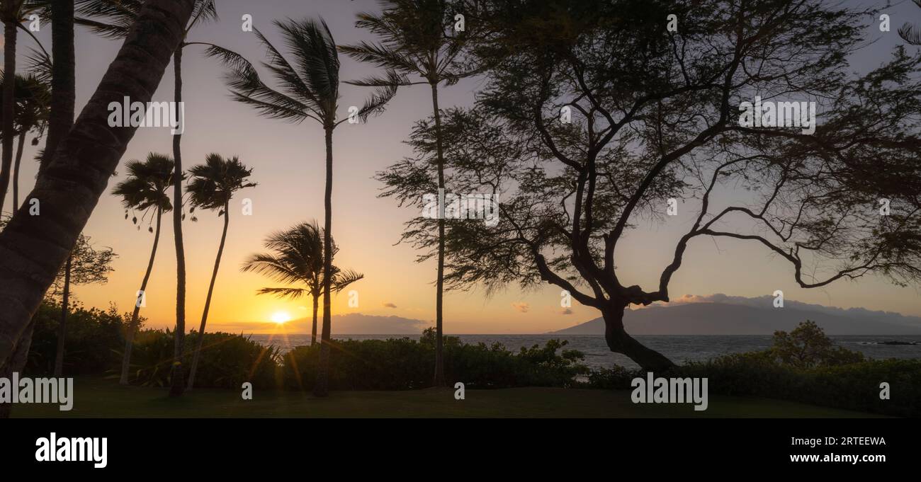 Silhouette von tropischen Bäumen entlang der Küste am Keawakapu Beach mit goldenen Sonnenstrahlen über dem Pazifischen Ozean in der Dämmerung Stockfoto