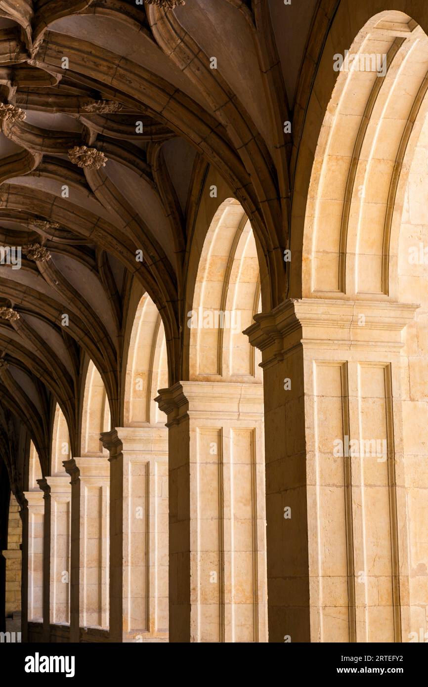 Nahaufnahme der schattigen, komplizierten Gewölbedecke und der sonnendurchfluteten Bögen an der Kathedrale von Leon (Catedral de Léon) auf dem Regla-Platz Stockfoto