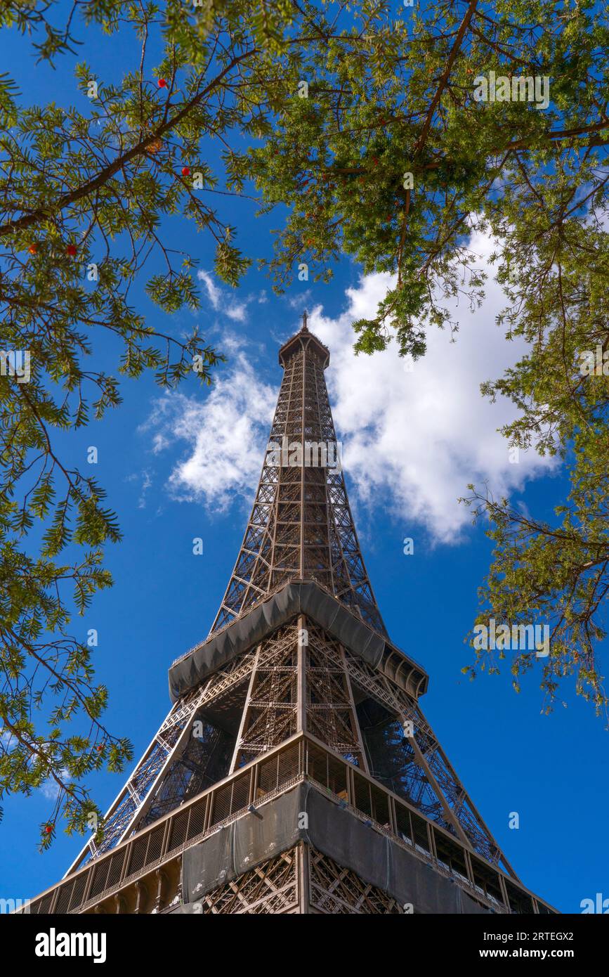 Flacher Blick auf den Eiffelturm vor blauem Himmel mit Wolken, umgeben von Ästen; Paris, Frankreich Stockfoto
