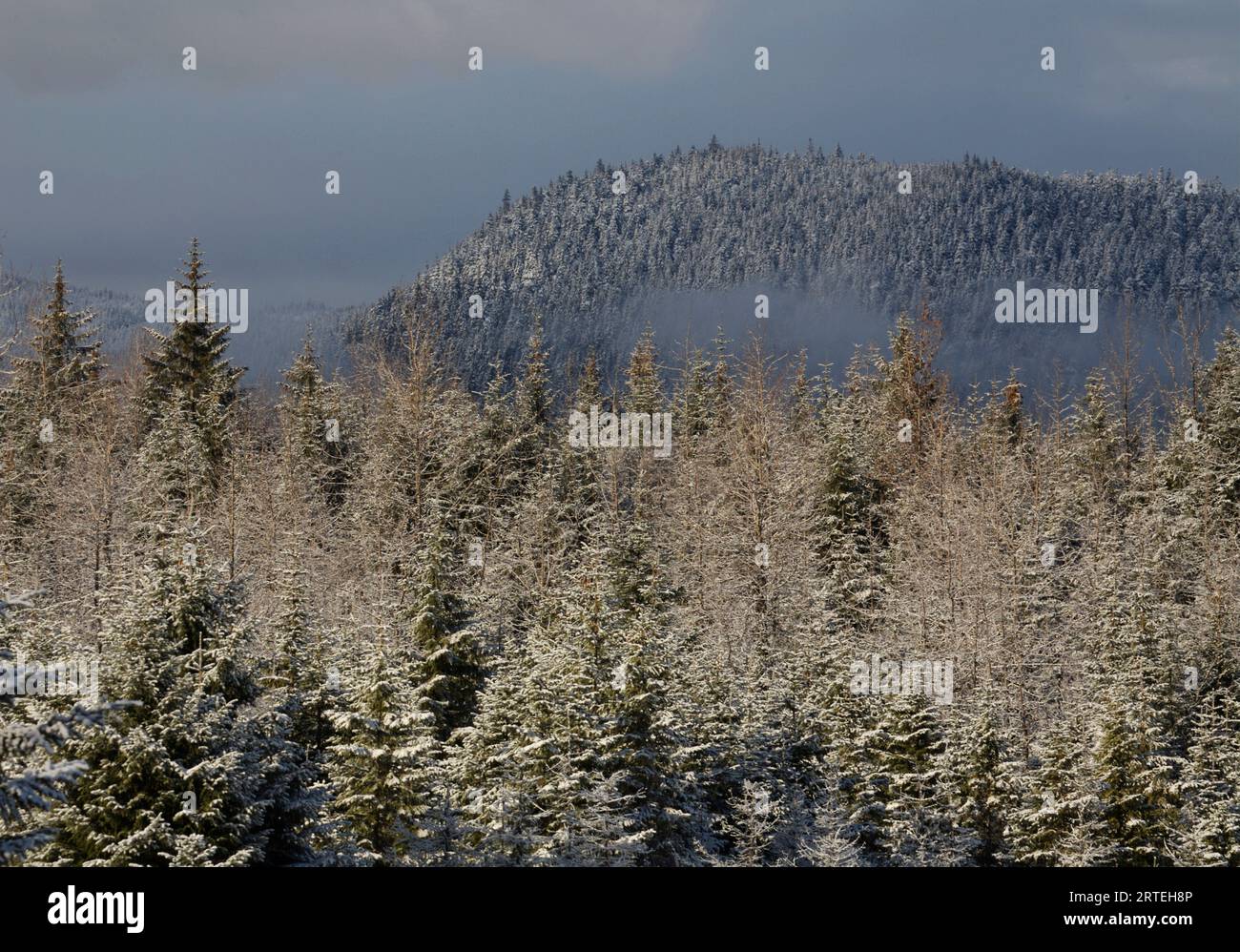 Neuschnee auf den Bergen mit Blick auf den Mendenhall-Gletscher und den See; Juneau, Alaska, Vereinigte Staaten von Amerika Stockfoto