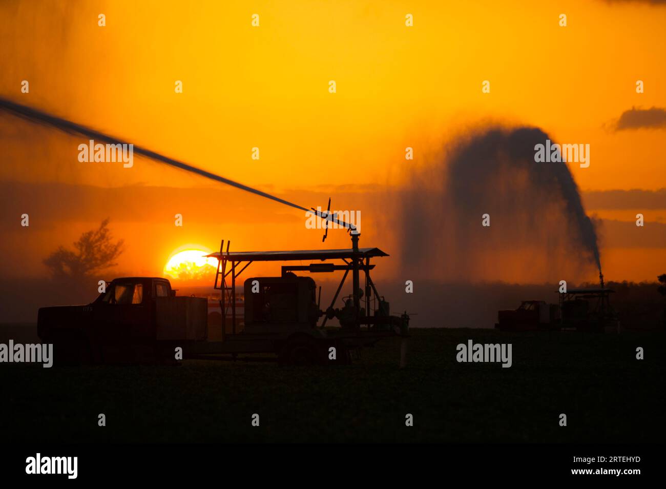 Bewässerung auf Ackerland bei Sonnenuntergang, mit Silhouetten im Vordergrund. Farmland neben den Everglades nimmt Wasser aus dem Park Stockfoto