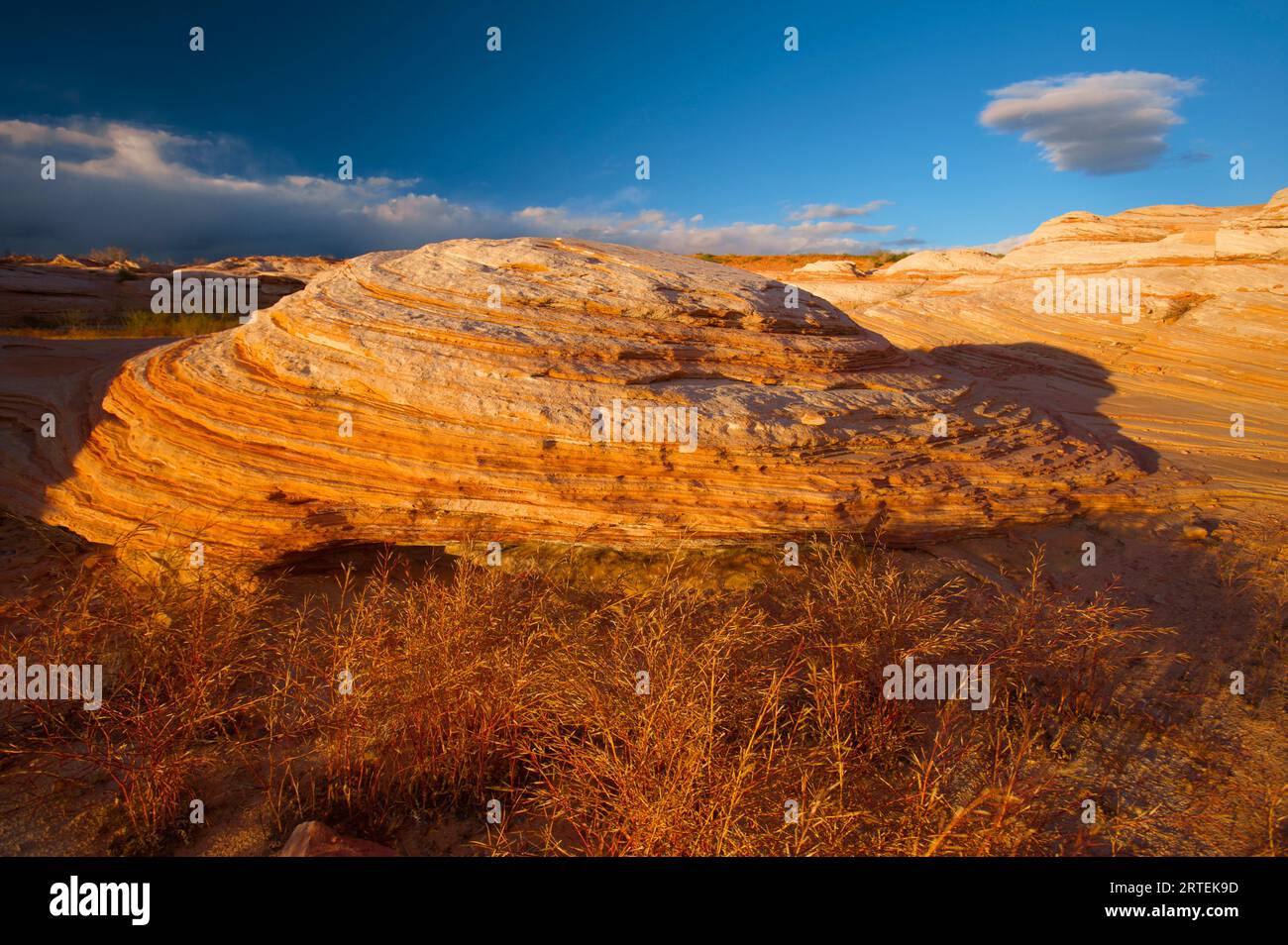 Sonnenlicht auf Felsformationen in der Nähe von Antelope Point in der Glen Canyon National Recreation Area, Arizona, USA; Arizona, Vereinigte Staaten von Amerika Stockfoto