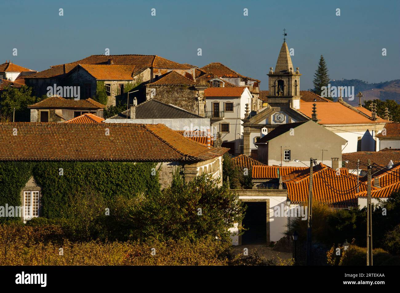 Dorf Provesende im Hafenweinland; Provesende, Tal des Flusses Douro, Portugal Stockfoto