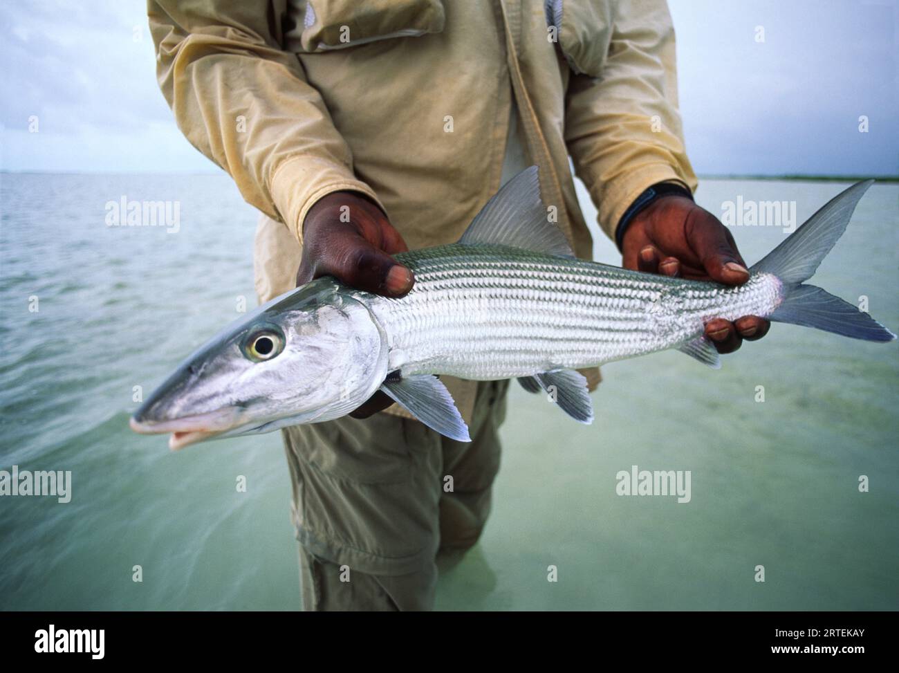 Fisherman hält einen Knochenfisch vor Great Exuma Island, den Bahamas; Great Exuma Island, den Bahamas Stockfoto