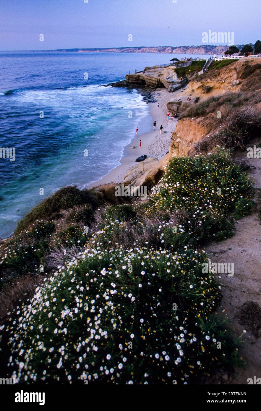 San Diegos von Klippen gesäumte Pazifikküste in der Abenddämmerung; San Diego, Kalifornien, Vereinigte Staaten von Amerika Stockfoto
