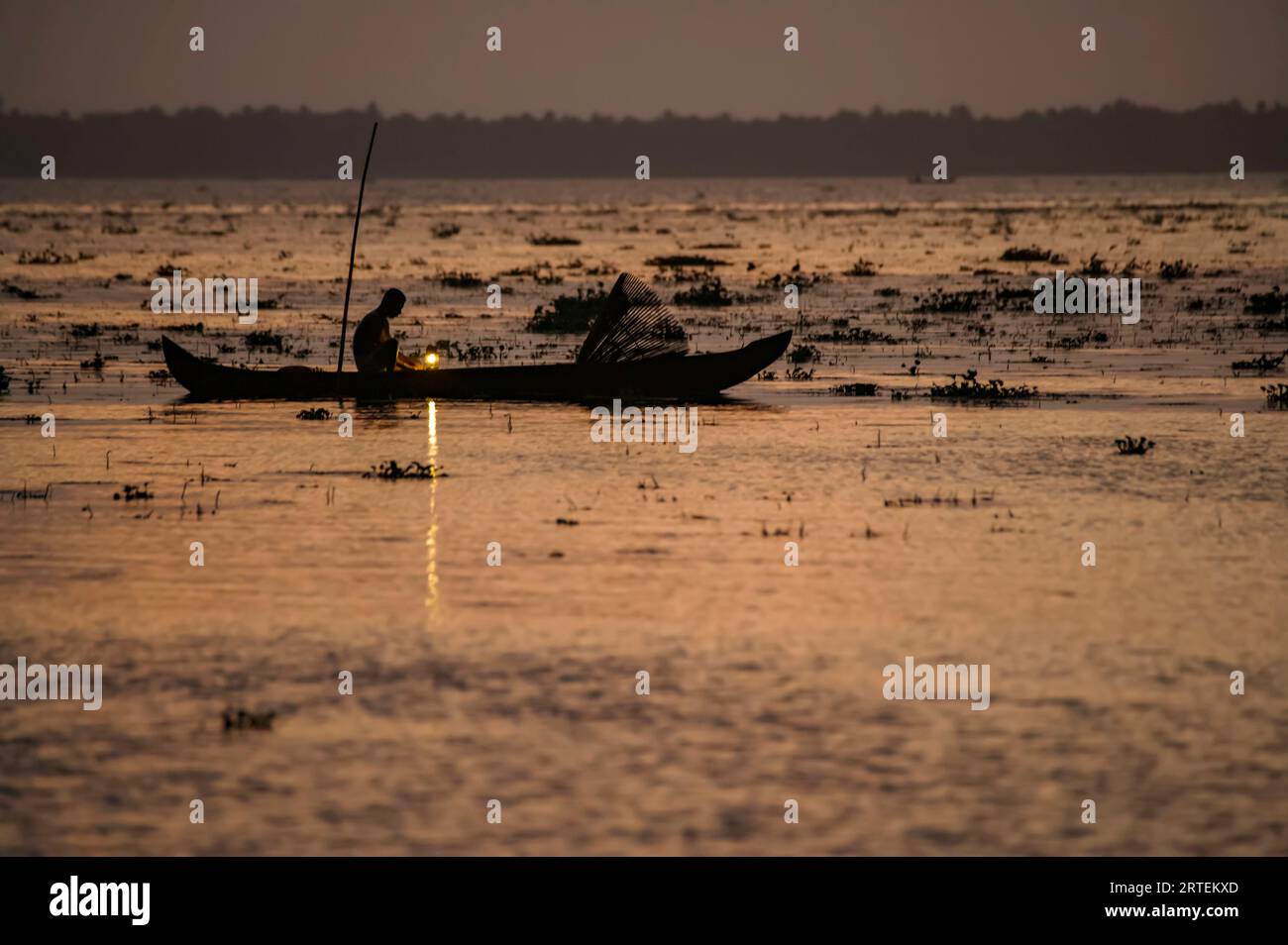 Mann in einem Kanu in der Abenddämmerung; Kerala State, Indien Stockfoto