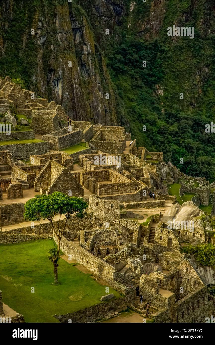 Rekonstruierte Steinhäuser auf Machu Picchu; Machu Picchu, Peru Stockfoto