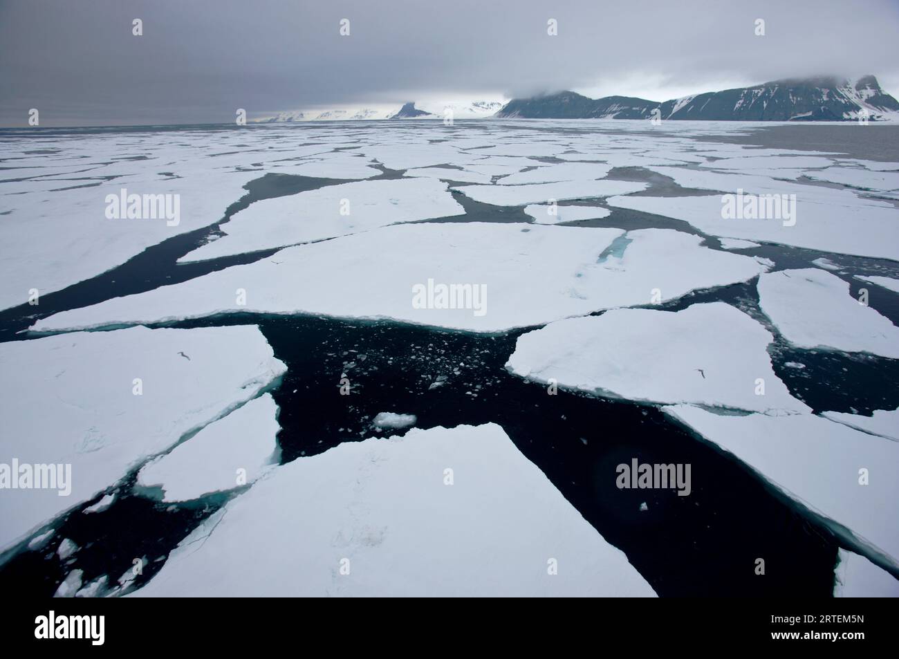Brucheis im Svalbard Archipel; Spitzbergen, Svalbard Archipel, Norwegen Stockfoto Brucheis im Svalbard Archipel; Spitzbergen, Svalbard Archipel, Norwegen Stockfoto