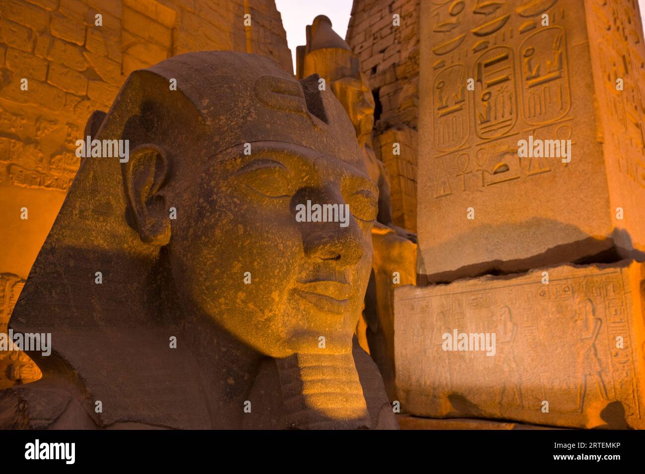 Steinkopf von Ramses II. Beleuchtet bei Nacht im Luxor-Tempel; Luxor, Ägypten Stockfoto