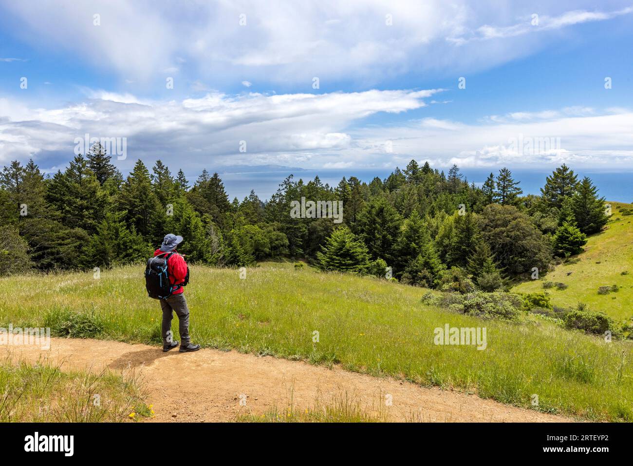 USA, Kalifornien, Marin Headlands, Senior man Hiking Dipsea Trail Stockfoto