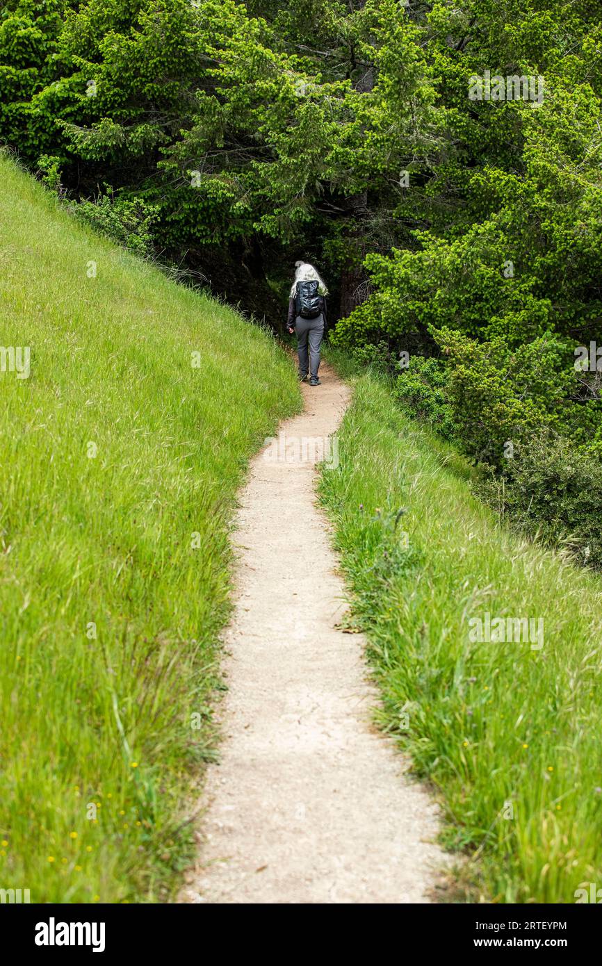 Senior Woman Wander Dipsea Trail Stockfoto