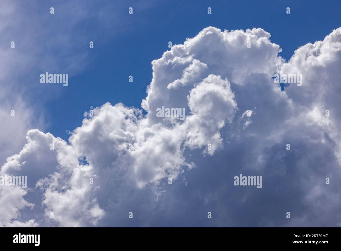 Voller Rahmen von geschwollenen weißen Wolken am blauen Himmel Stockfoto