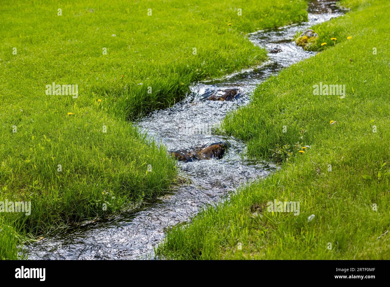 Bach fließt durch grüne Wiese Stockfoto