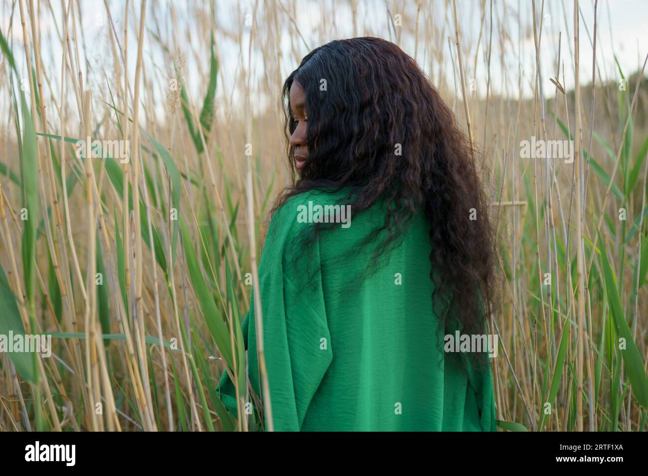 Brünette Frau, die zwischen langem Gras auf dem Feld steht Stockfoto