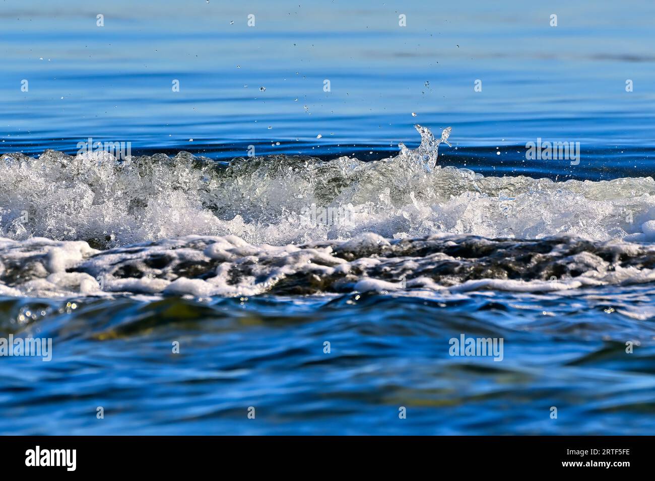 Eine Nahaufnahme Bild eines Ocean Wave Onshore mit der Flut auf Vancouver Island, British Columbia Kanada, das Stockfoto