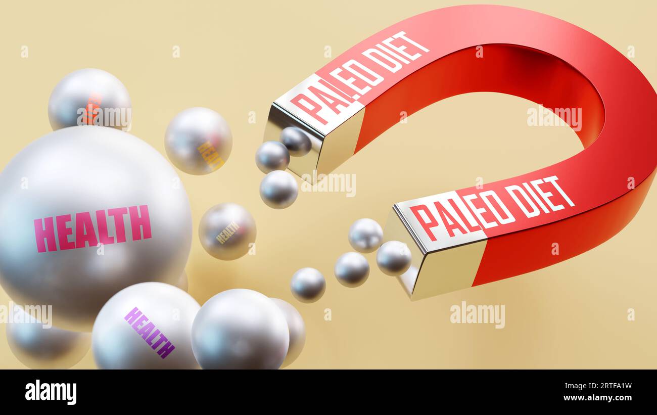 Paleo Diät, die Gesundheit bringt. Eine Magnet-Metapher, in der Paläo-Diät mehrere Teile der Gesundheit anzieht. Ursache-Wirkungs-Beziehung zwischen Paläodiät Stockfoto