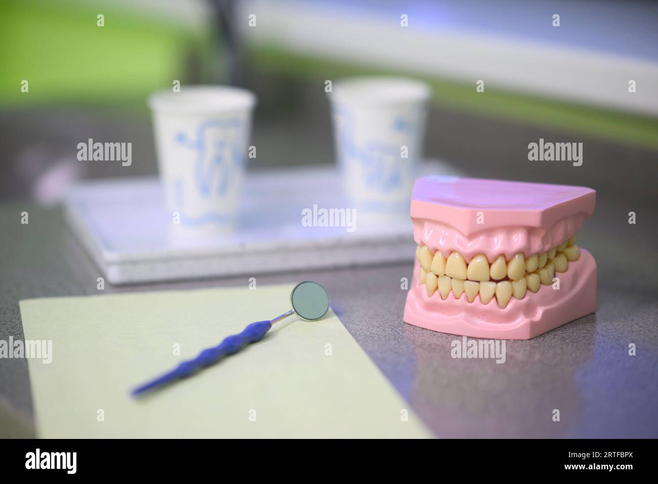 Hannover, Deutschland. September 2023. Eine Prothese steht in einer Kinderzahnarztpraxis. Der KZVN, der ZKN, die Zentisten für Niedersachsen und der FVDZ rufen aufgrund des aktuellen Spargesetzes des bundes zu Protesten im Niedersächsischen landtag auf. Die Vereine betrachten die Zahnpflege in Niedersachsen als durch die Maßnahmen gefährdet. Quelle: Julian Stratenschulte/dpa/Alamy Live News Stockfoto