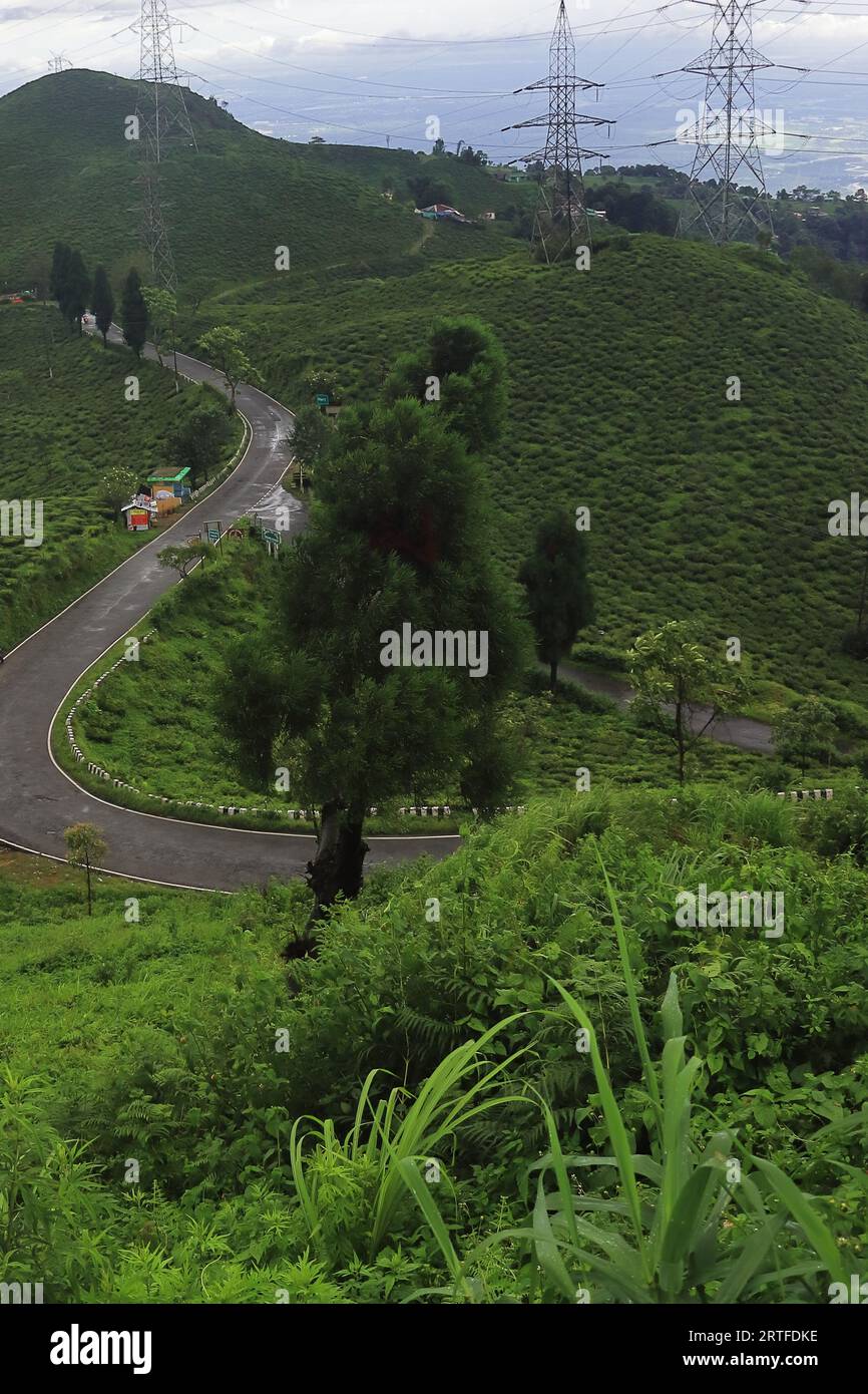 nebelige und bewölkte hügelige Landschaft, üppige grüne Teeplantage von darjeeling, an den Hängen der himalaya-Berge im Westen bengals, indien Stockfoto