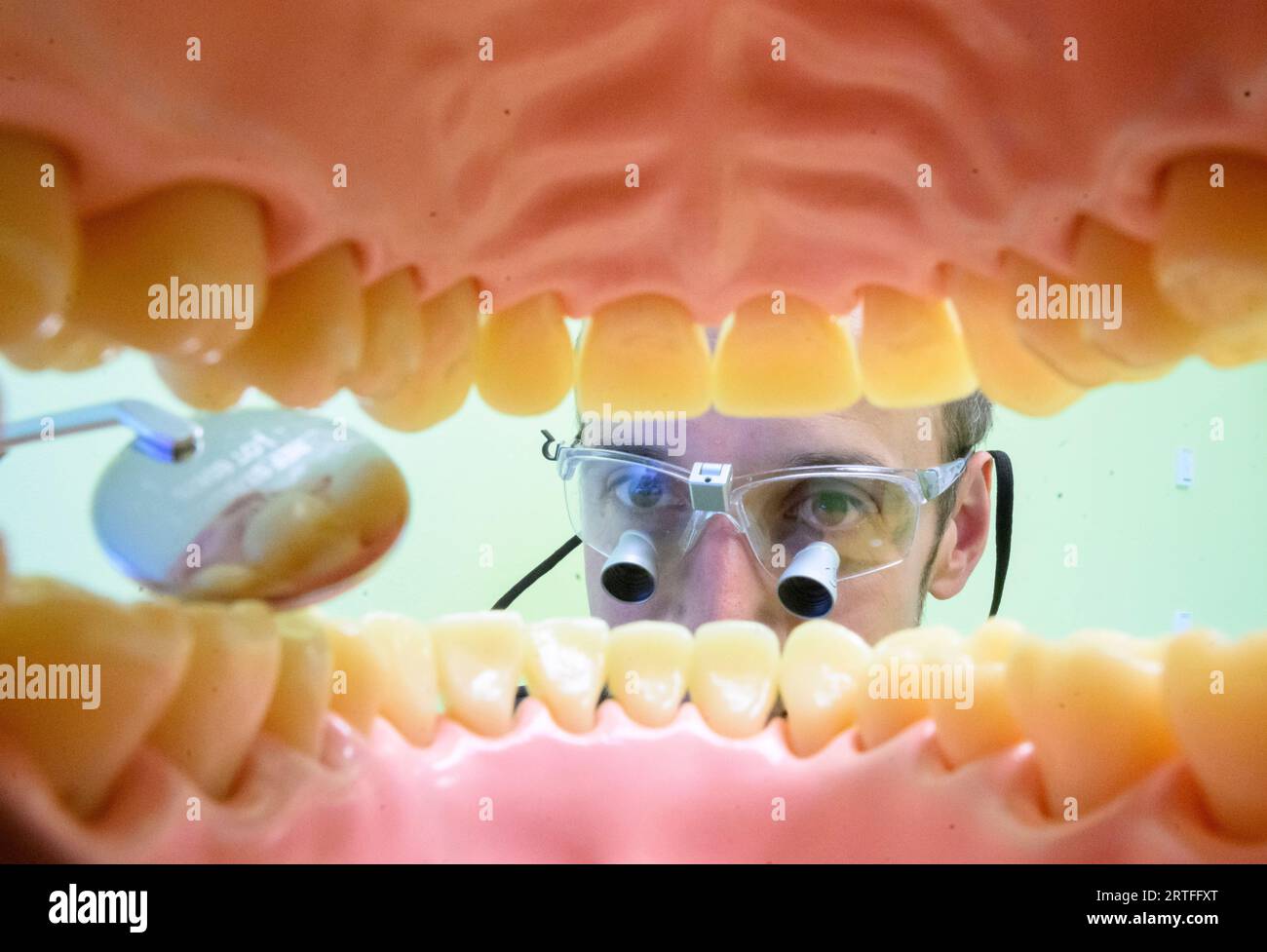 Hannover, Deutschland. September 2023. ILLUSTRATION - Kinderzahnarzt Tobias Tetzlaff untersucht eine künstliche Prothese in einer Zahnarztpraxis für Fotoshootings (Posted Scene). Der KZVN, die ZKN, die Zentisten für Niedersachsen und der FVDZ rufen aufgrund des aktuellen Spargesetzes des bundes zu Protesten im Niedersächsischen landtag auf. Die Vereine halten die Zahnpflege in Niedersachsen für gefährdet Kredit: dpa/Alamy Live News Stockfoto