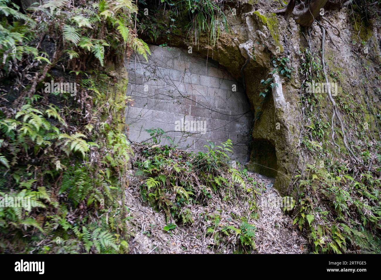 13. März 2023, Kagoshima, Japan: Militärbunker in Kyushu, gebaut von der Kaiserlichen Japanischen Armee während des Zweiten Weltkriegs zur Vorbereitung einer amerikanischen Invasion bei Operation Downfall. (Bild: © Taidgh Barron/ZUMA Press Wire) NUR REDAKTIONELLE VERWENDUNG! Nicht für kommerzielle ZWECKE! Stockfoto