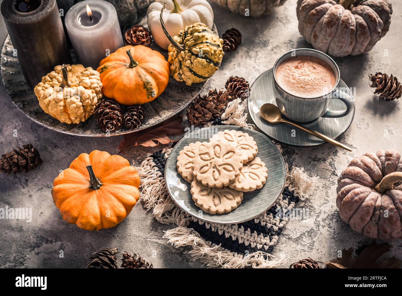 Chai-Schokolade oder heißer Kakao mit Chai-Keksen, Kürbissen zum Thanksgiving-Frühstück. Gemütliches Herbststillleben, Hygge. Stockfoto