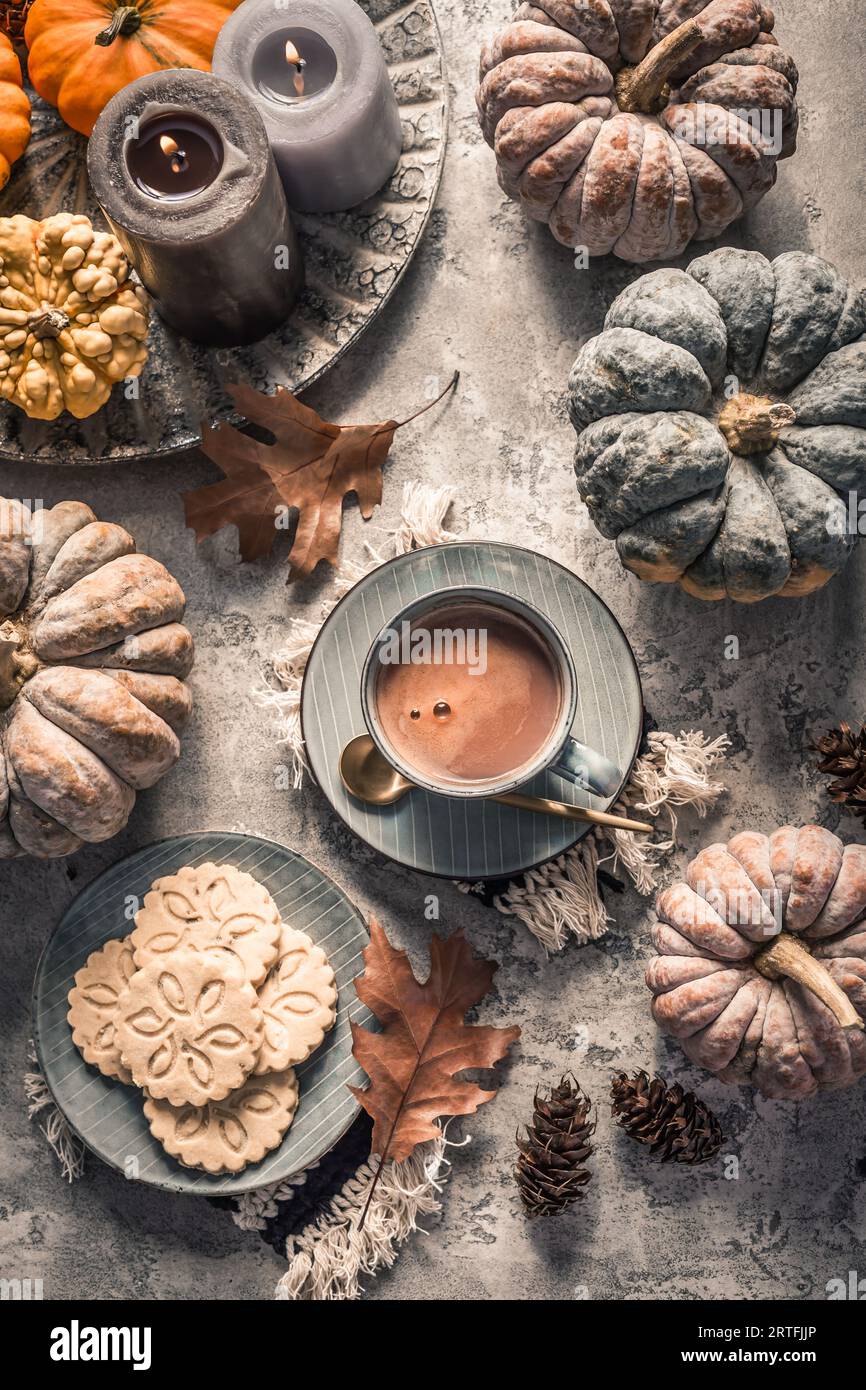 Chai-Schokolade oder heißer Kakao mit Chai-Keksen, Kürbissen zum Thanksgiving-Frühstück. Gemütliches Herbststillleben, Hygge. Stockfoto