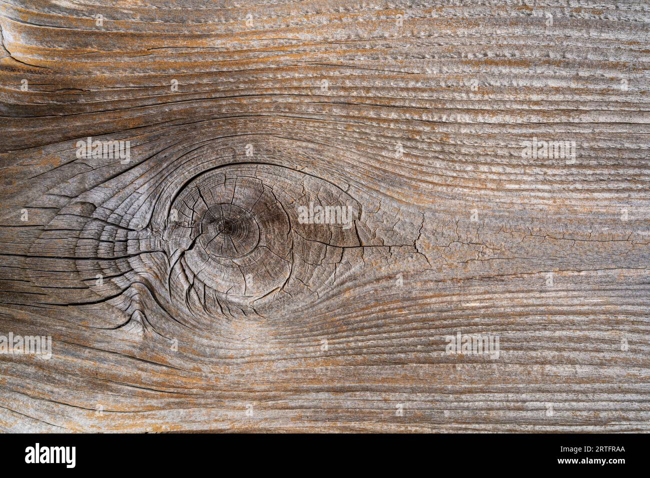 Nahaufnahme der verwitterten natürlichen Textur mit Knoten auf altem Holzbrett - schöner strukturierter Hintergrund Stockfoto