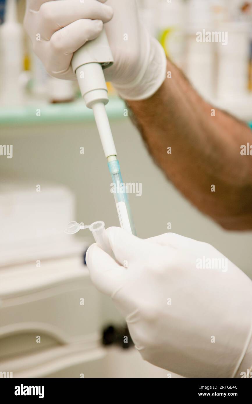 Hände mit OP-Handschuhe halten eine medizinische Pipette Stockfoto