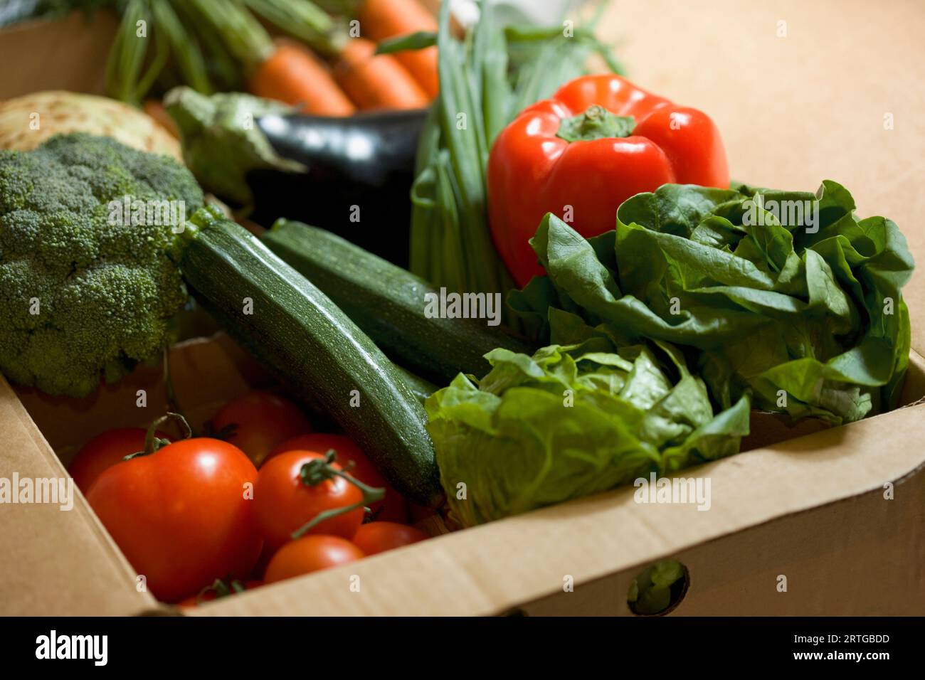 Nahaufnahme von einer Kiste voller Bio-Gemüse Stockfoto