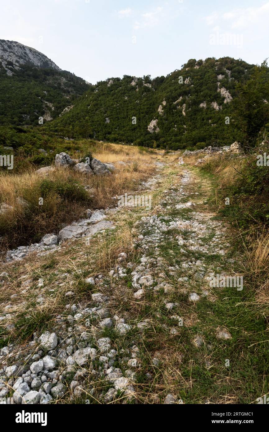 Albanische Bergalpen. Berglandschaft, malerischer Bergblick im Sommer, großes Panorama Stockfoto