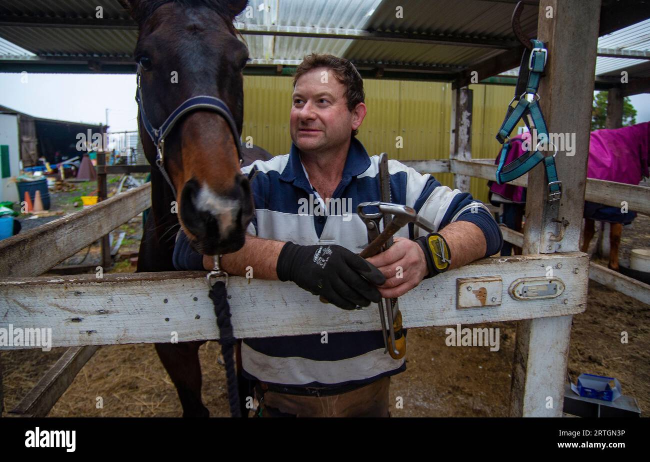 Pferdefertiger Craig Robottom arbeitet an einer Reithalle in der Nähe von Sorell, Tasmanien Stockfoto