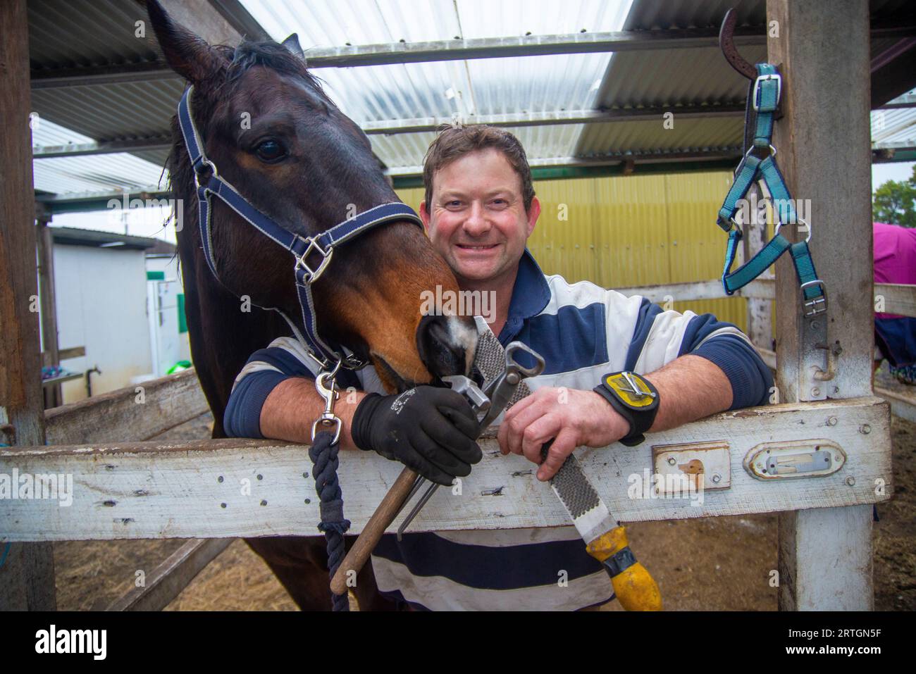 Pferdefertiger Craig Robottom arbeitet an einer Reithalle in der Nähe von Sorell, Tasmanien Stockfoto