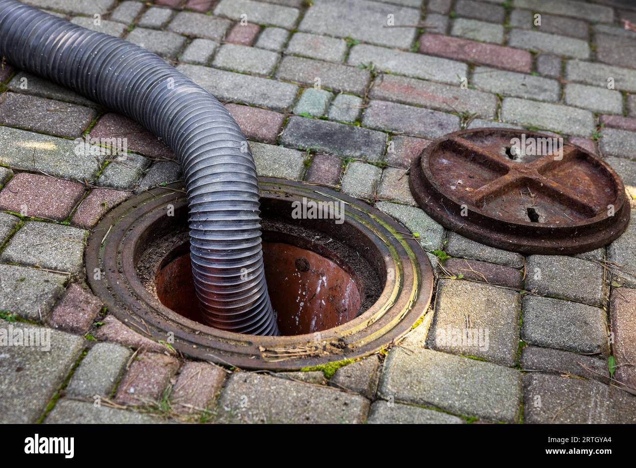 Pumpen aus Haushalt Klärgrube. Abfluss-und Abwasserreinigung Service Stockfoto