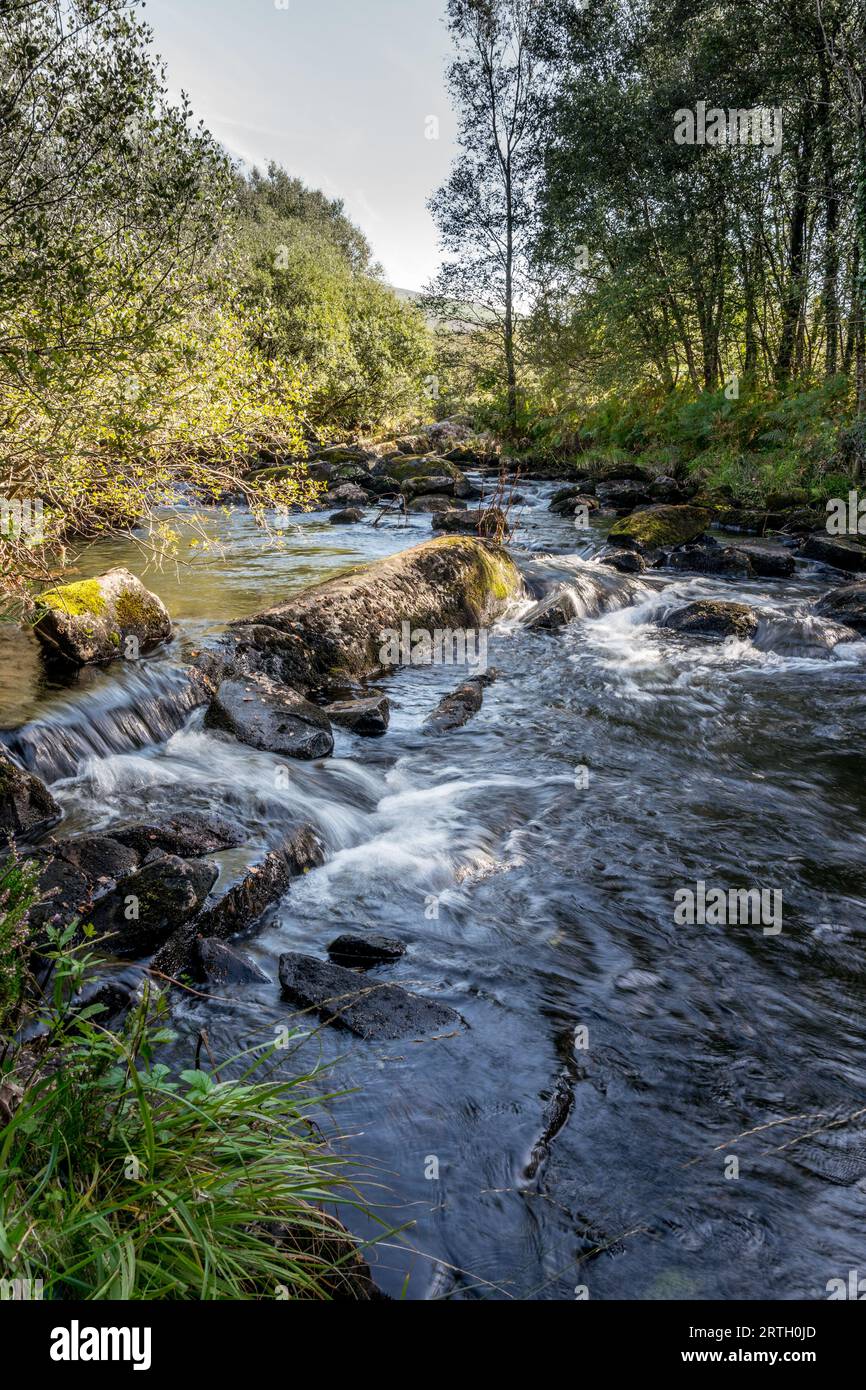 Fluss Nantcol und Wasserfälle in einem Waldgebiet. Stockfoto