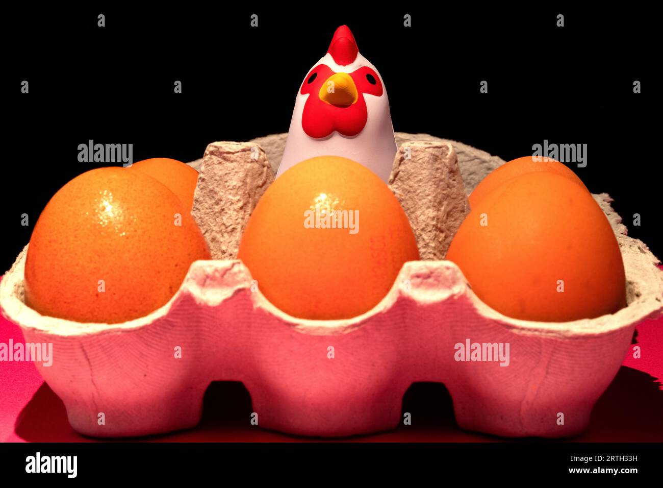 Hühnerspielzeug im Eierkarton mit frischen Hühnereiern Stockfoto