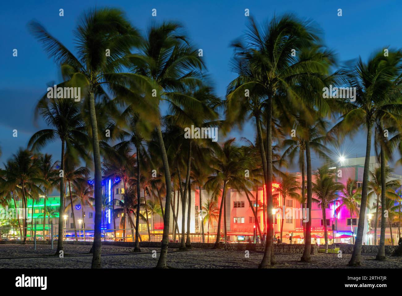 Nächtlicher Blick auf den Ocean Drive in South Miami Beach, Palmen und Hotels in Miami Beach, Florida. Stockfoto