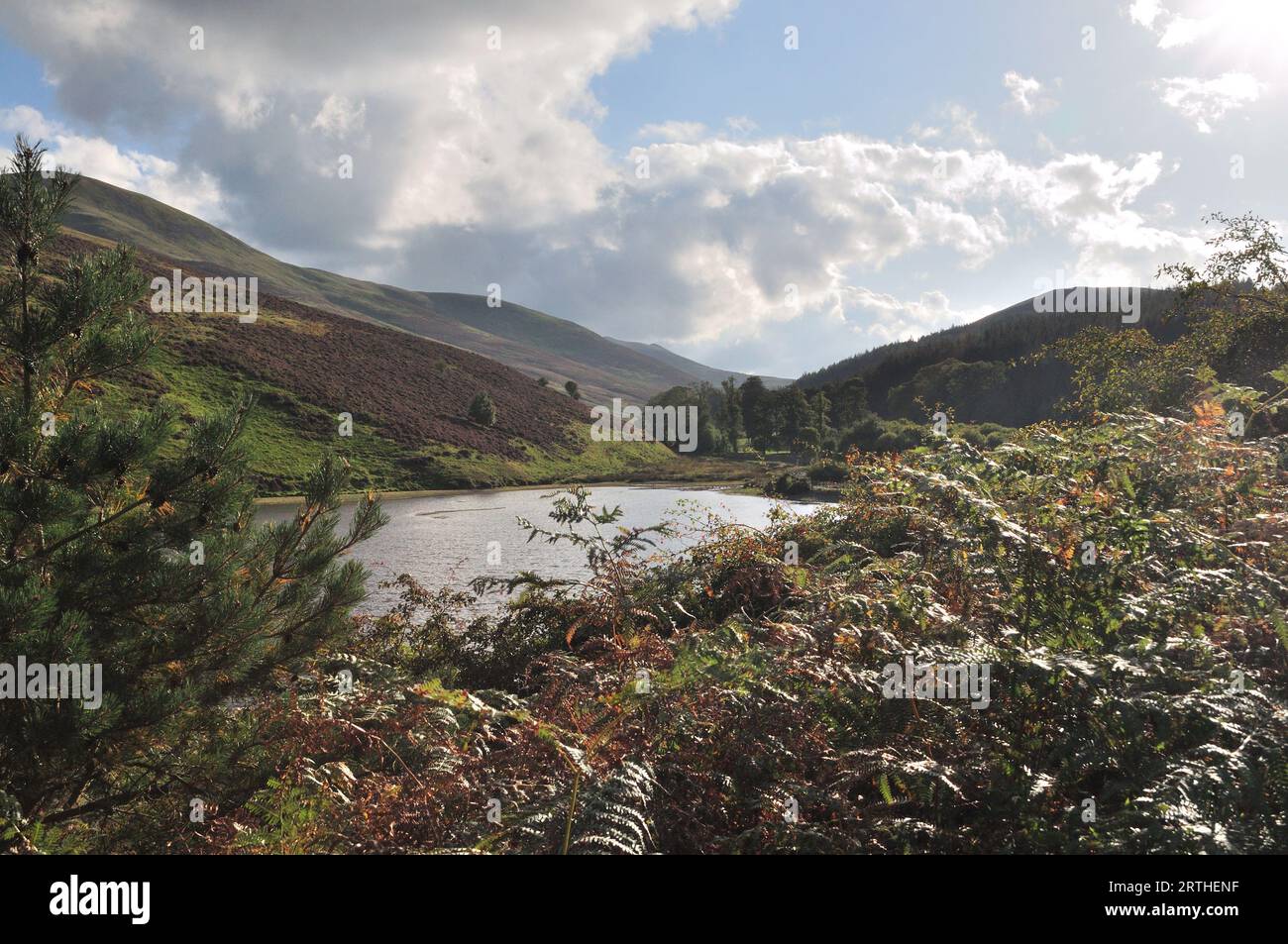 Glencorse Reservoir, Pentland Regional Park, Pentland Hills, Penicuik Stockfoto