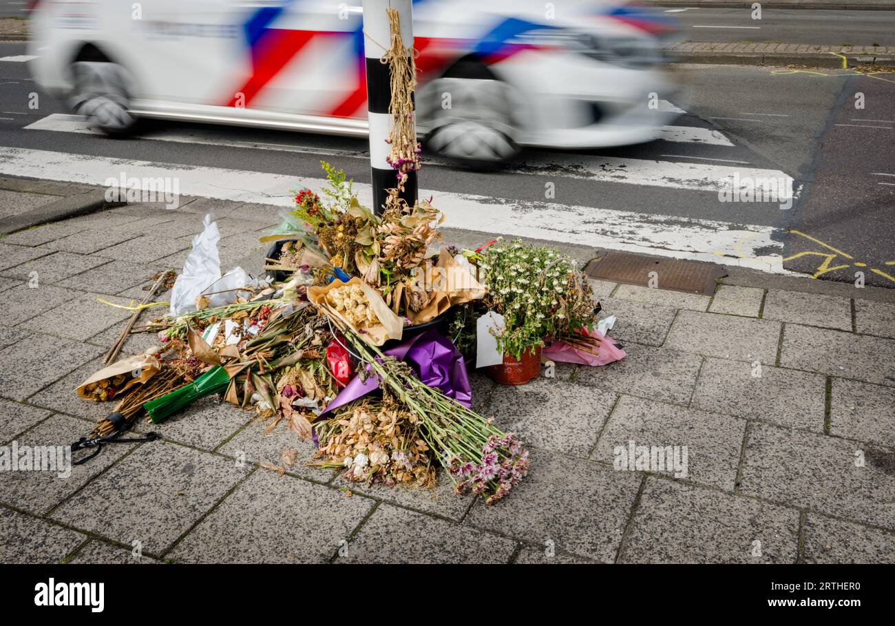 ROTTERDAM - Ein Polizeiauto fährt am Unfallort auf dem Maasboulevard vorbei. Ein 79-jähriger Mann und eine 74-jährige Frau aus Capelle aan den IJssel starben bei dem tödlichen Unfall. ANP MARCO DE SWART niederlande raus - belgien raus Stockfoto