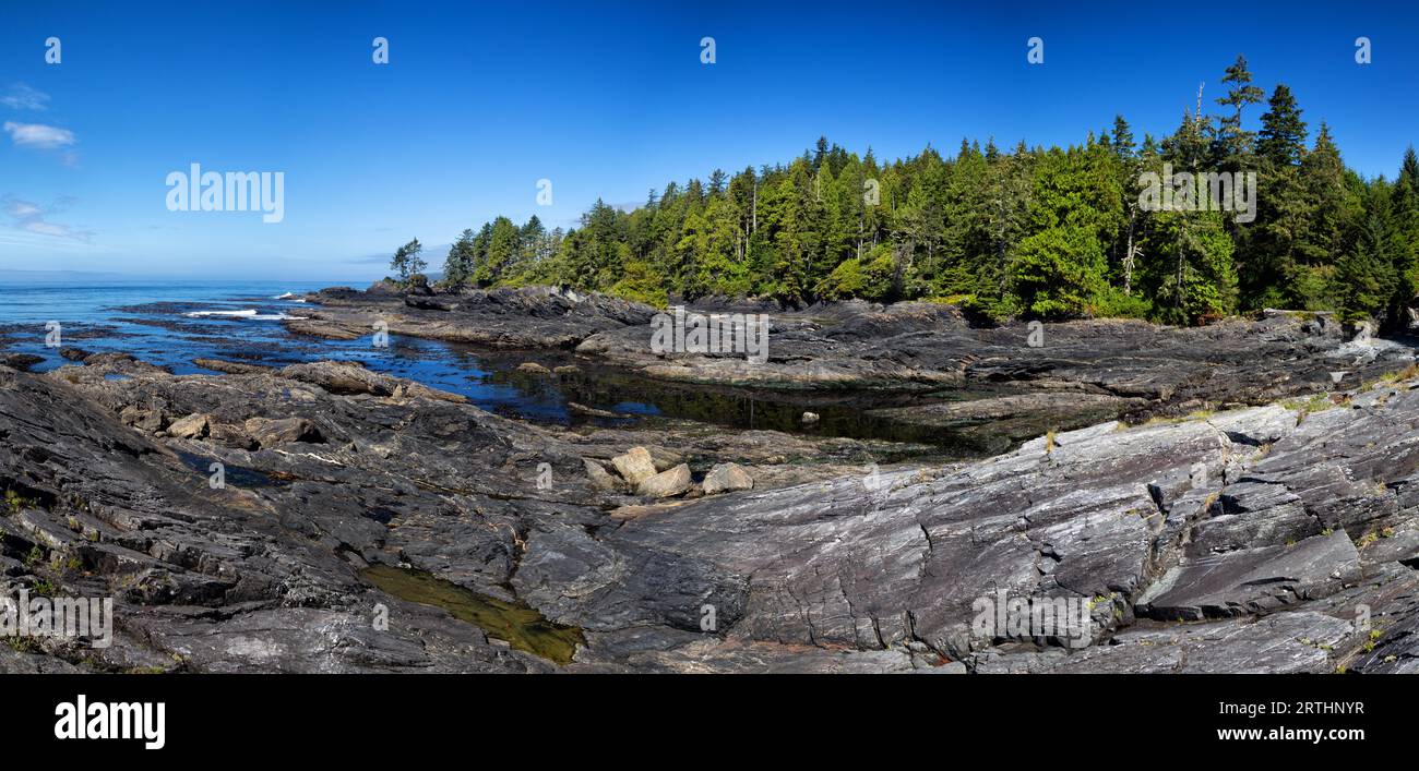 Küstenlandschaft am Botanischen Strand im Juan de Fuca Provincial Park auf Vancouver Island, British Columbia, Kanada. Küstenlandschaft im Botanischen Garten Stockfoto