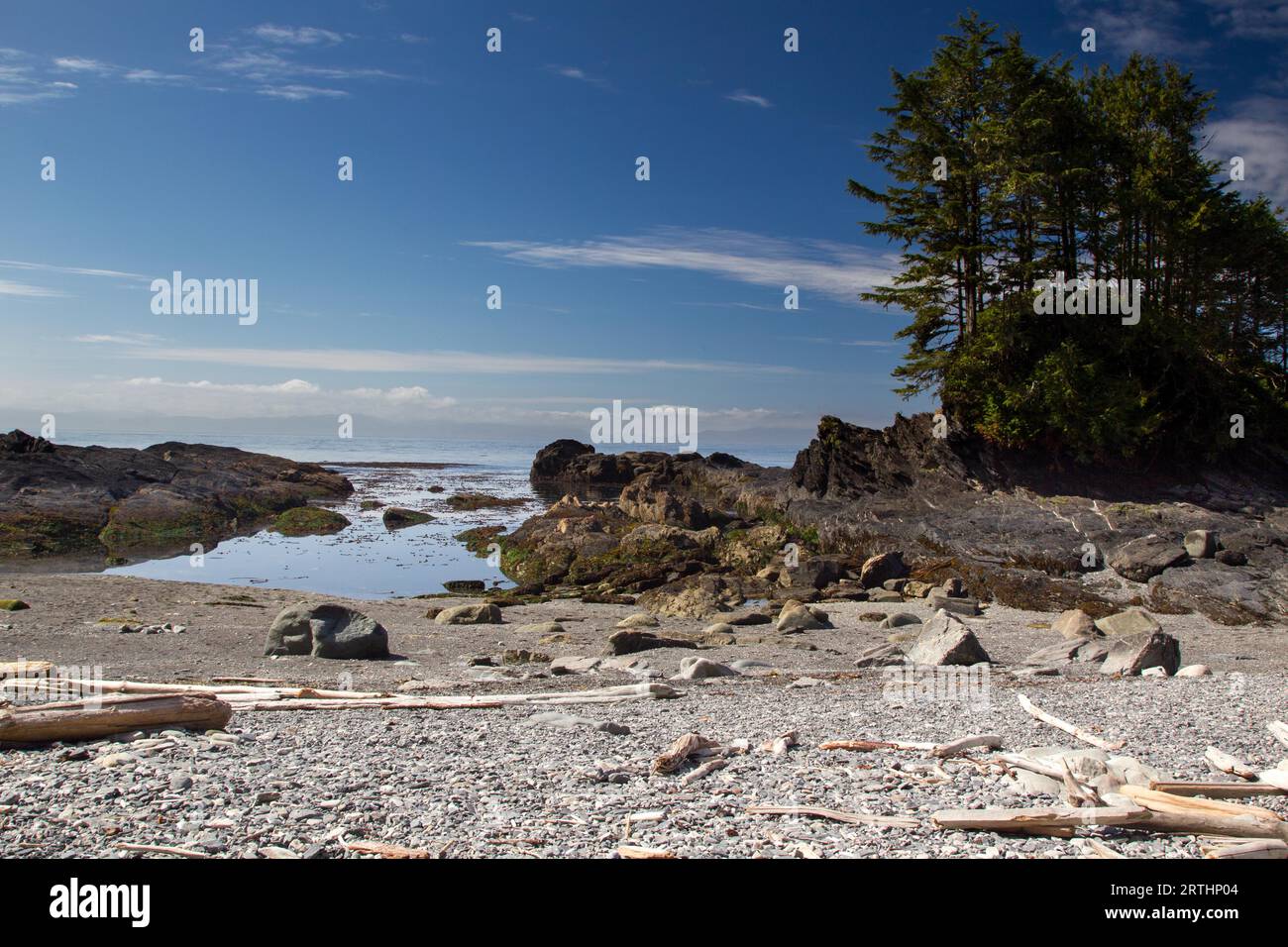 Küstenlandschaft am Botanischen Strand im Juan de Fuca Provincial Park auf Vancouver Island, British Columbia, Kanada. Küstenlandschaft im Botanischen Garten Stockfoto