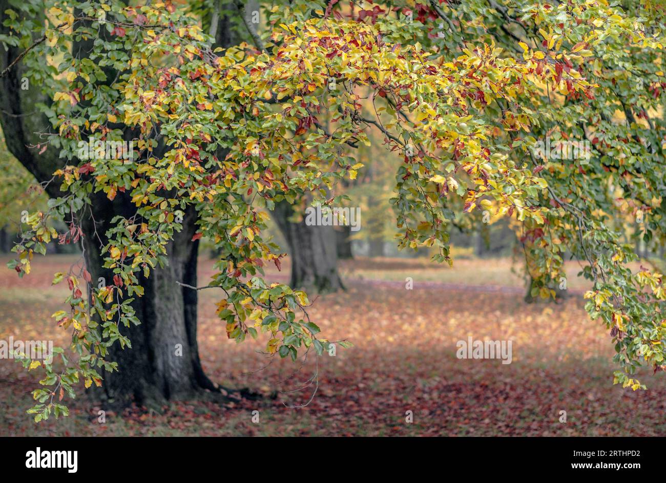 Dieses Einzelbild gehört zu meiner Bilderserie Stockfoto