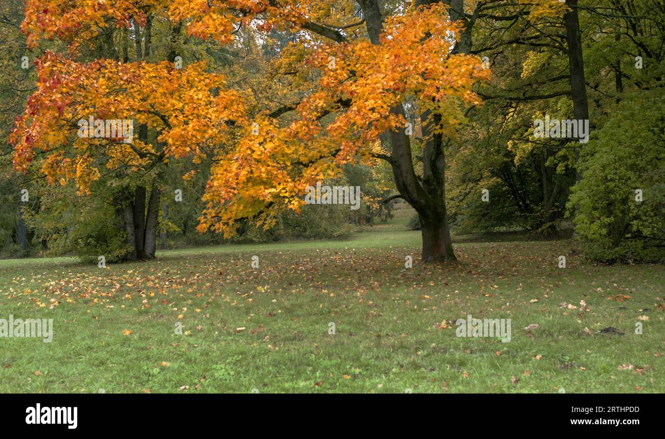 Dieses Einzelbild gehört zu meiner Bilderserie Stockfoto