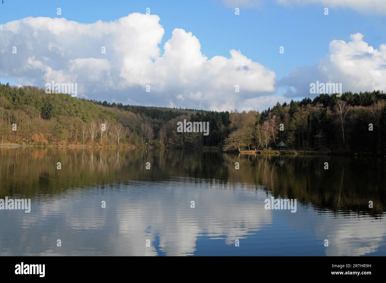 Steinbacher Stausee in der Eifel Stockfoto