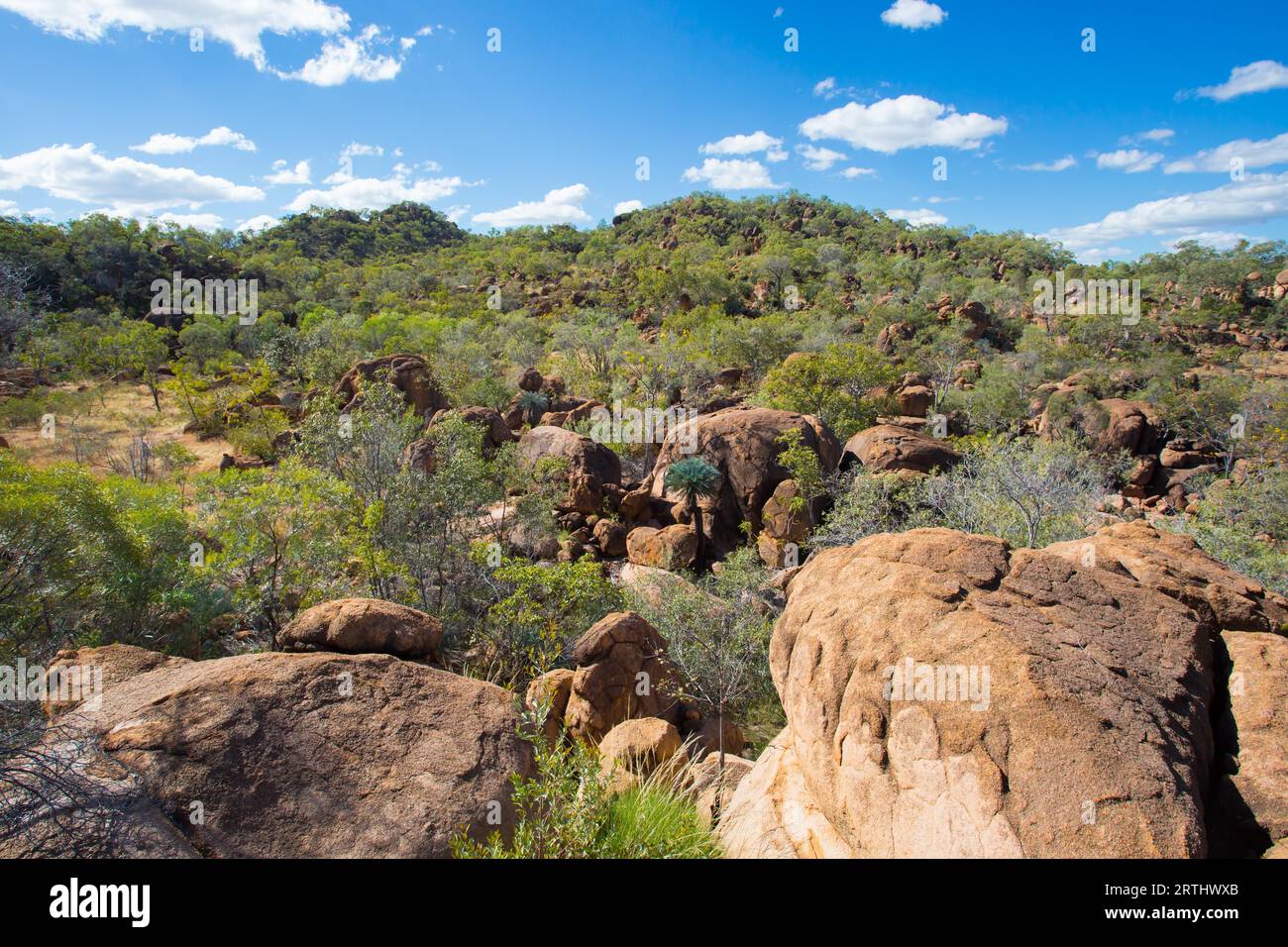 O'Brien's Creek und die umgebende fossile Landschaft in der Nähe des Mount Surprise in Queensland, Australien Stockfoto