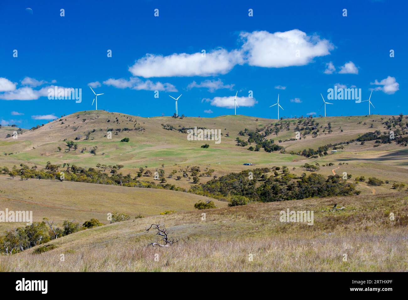 Ein Windpark nahe der Stadt Dalgety, New-South.Wales, Australien Stockfoto