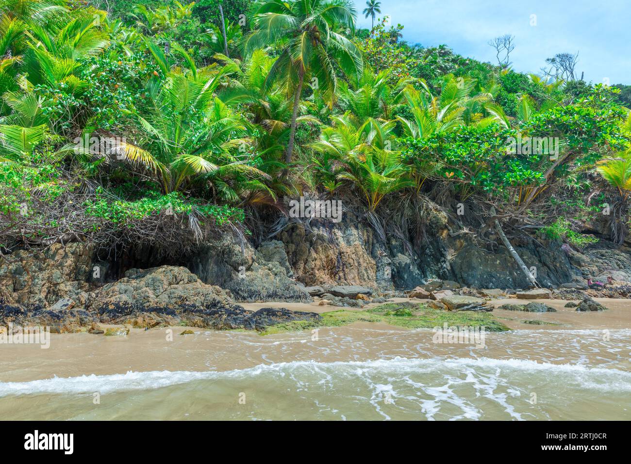 Natürliche Vegetation monster Gesicht von Natur auf der linken Innenseite getan Stockfoto