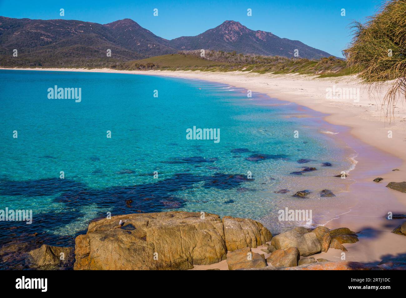 Wineglass Bay, der wunderschöne Strand Wineglass Bay an der Ostküste Tasmaniens, hat kristallklares Wasser Stockfoto