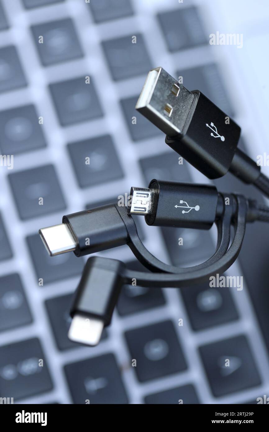 Die Abbildung zeigt Details verschiedener Adapter für USB, USB-C, Micro-USB und Lightning-Steckverbinder für Ladekabel von elektronischen Geräten, in Lierde, Mittwoch, 13. September 2023. Nach den europäischen Rechtsvorschriften müssen Hersteller elektronischer Geräte bis Ende 2024 alle neuen Smartphones, Tablets und Kameras mit einem USB-C-Anschluss ausstatten. Apple verwendet bisher seine eigene Lightning-Technologie, hat jedoch kürzlich angekündigt, dass die neueste Version des iPhone (iPhone 15) über einen universellen USB-C-Ladeanschluss verfügt. BELGA-FOTO NICOLAS MAETERLINCK Stockfoto