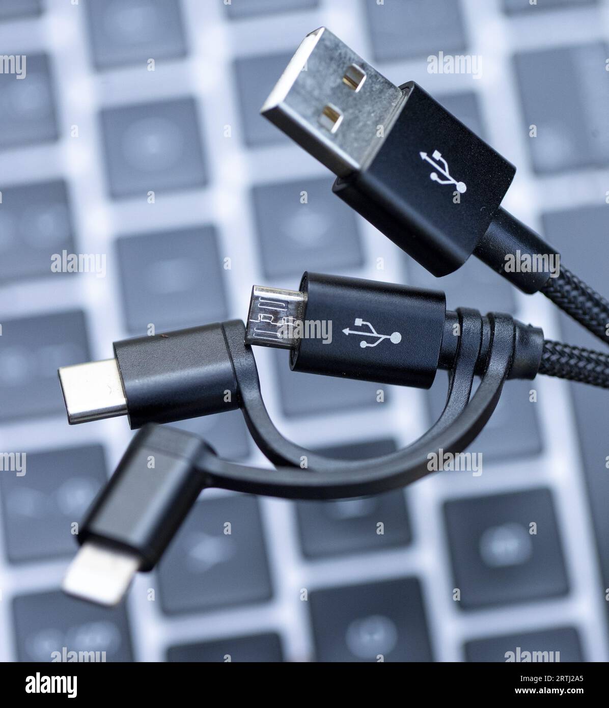 Die Abbildung zeigt Details verschiedener Adapter für USB, USB-C, Micro-USB und Lightning-Steckverbinder für Ladekabel von elektronischen Geräten, in Lierde, Mittwoch, 13. September 2023. Nach den europäischen Rechtsvorschriften müssen Hersteller elektronischer Geräte bis Ende 2024 alle neuen Smartphones, Tablets und Kameras mit einem USB-C-Anschluss ausstatten. Apple verwendet bisher seine eigene Lightning-Technologie, hat jedoch kürzlich angekündigt, dass die neueste Version des iPhone (iPhone 15) über einen universellen USB-C-Ladeanschluss verfügt. BELGA-FOTO NICOLAS MAETERLINCK Stockfoto