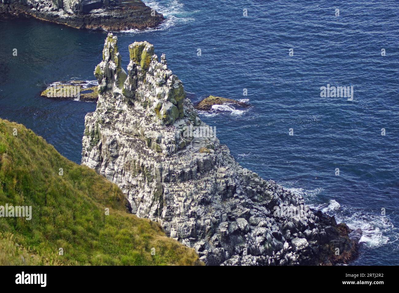 Rathlin Island ist ideal für einen Tagesausflug, um einfach Einsamkeit und Ruhe zu genießen. Bei gutem Wetter kann man bis nach Schottland sehen.die Insel ist die Heimat Stockfoto